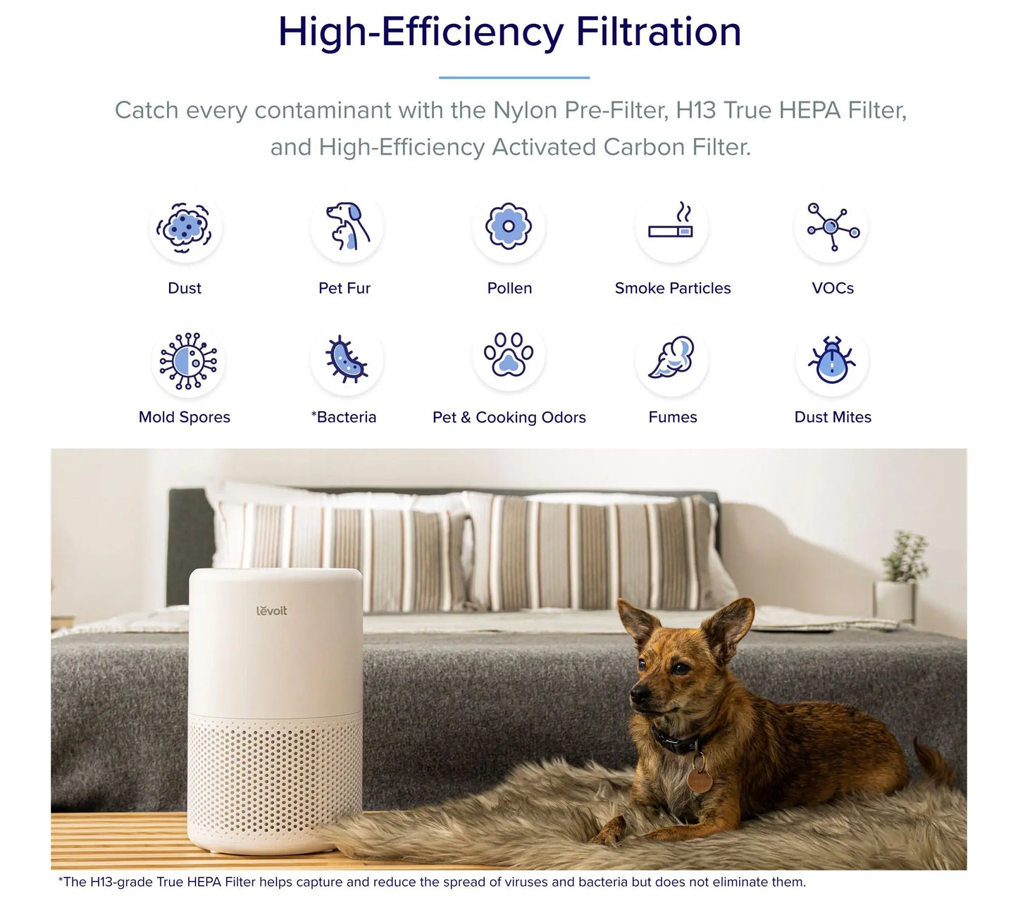 Levoit Air Purifier LAP-C202S-WUSR